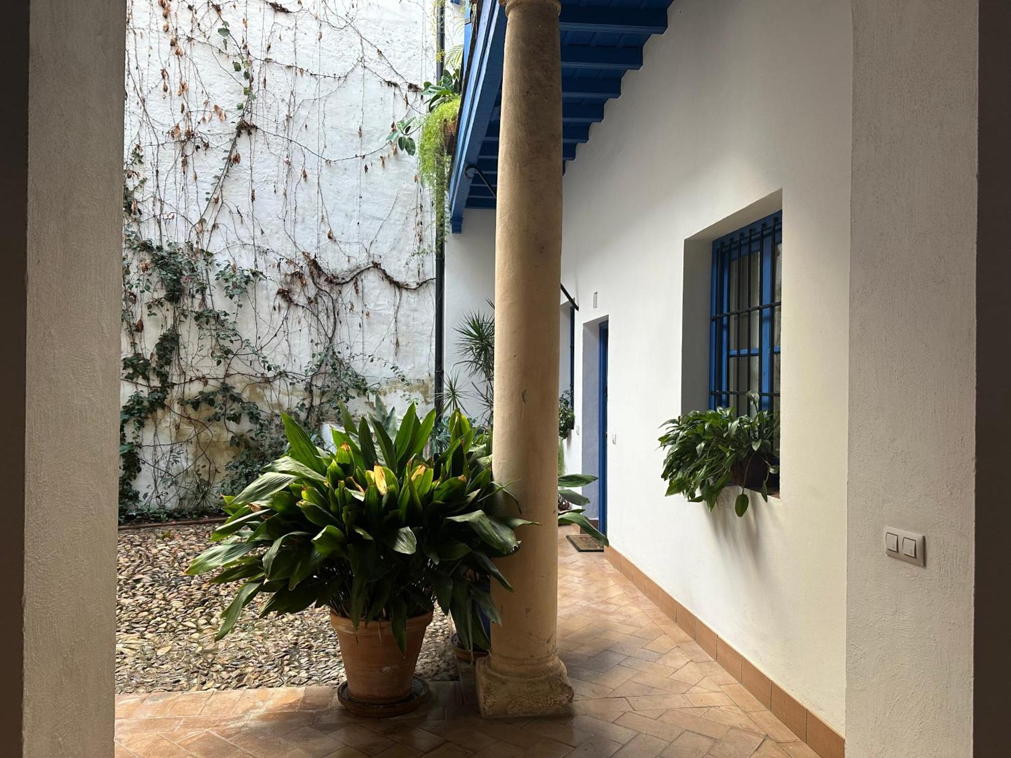 Apartmán Vidrio 30-32 Sevilla Exteriér fotografie